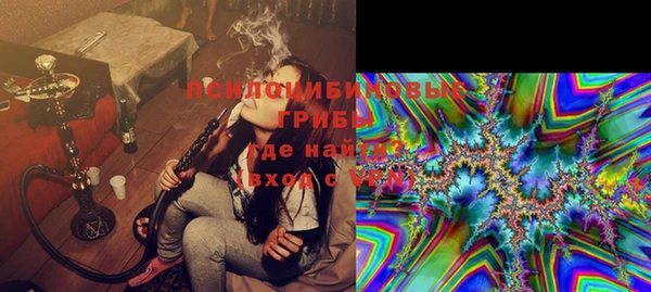 тгк Алзамай