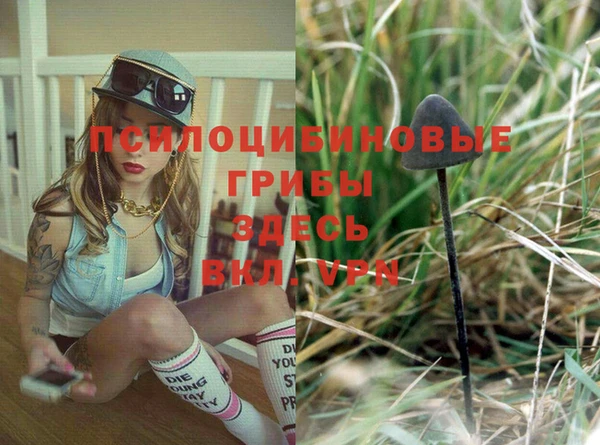 тгк Алзамай