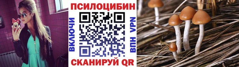 Галлюциногенные грибы прущие грибы  Арсеньев 
